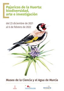 Exposición "Pajaricos de la Huerta: biodiversidad, arte e investigación"