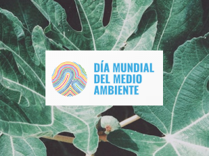 Documental "Fauna de humedales de la Región de Murcia" @ Día Mundial del Medio Ambiente