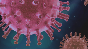 La respuesta inmunitaria frente al coronavirus, a examen