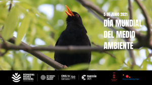Talleres: "Naturaleza urbana" (Día Mundial del Medio Ambiente) @ 11:00 y 12:30 h