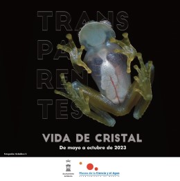 Exposición Transparentes. Vida de cristal