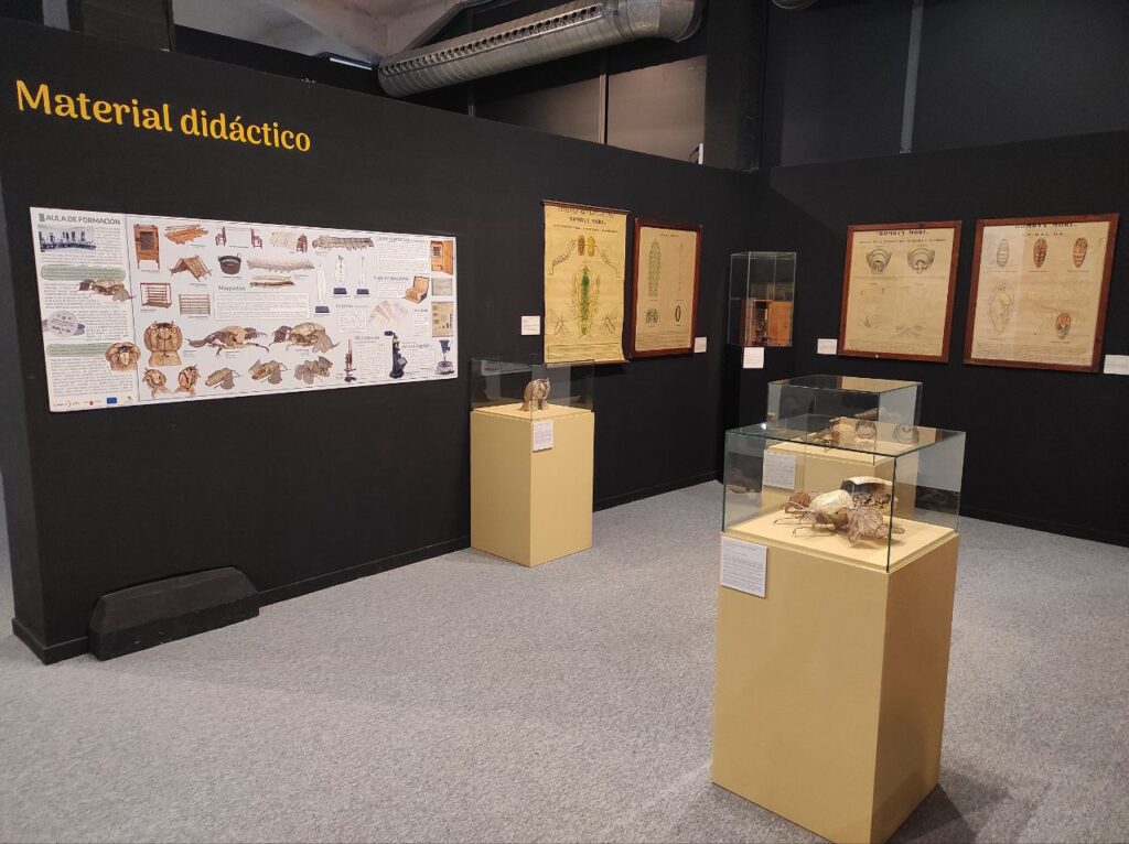 expo-seda-murcia-museo-ciencia (10)