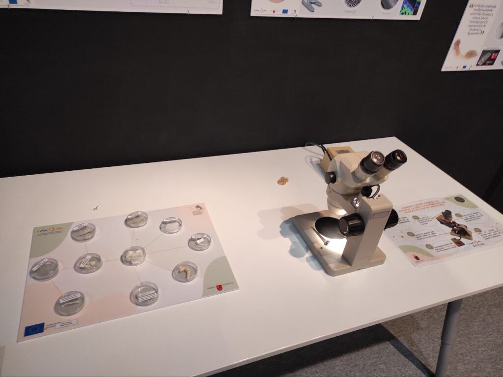 expo-seda-murcia-museo-ciencia (18)