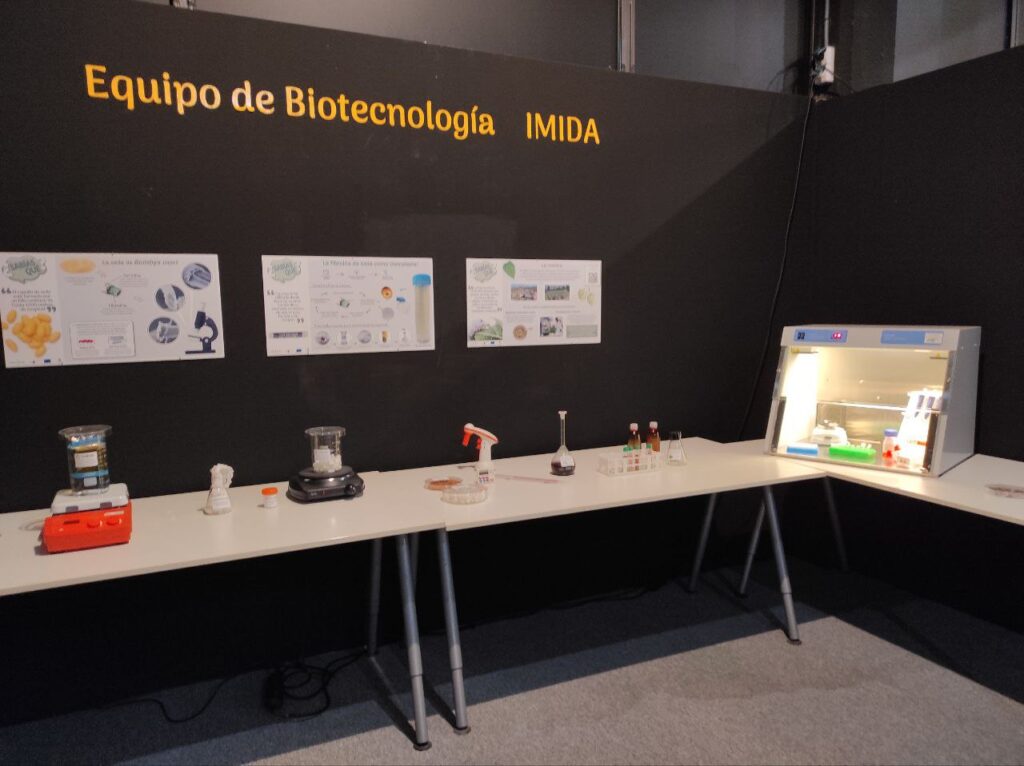 expo-seda-murcia-museo-ciencia (19)