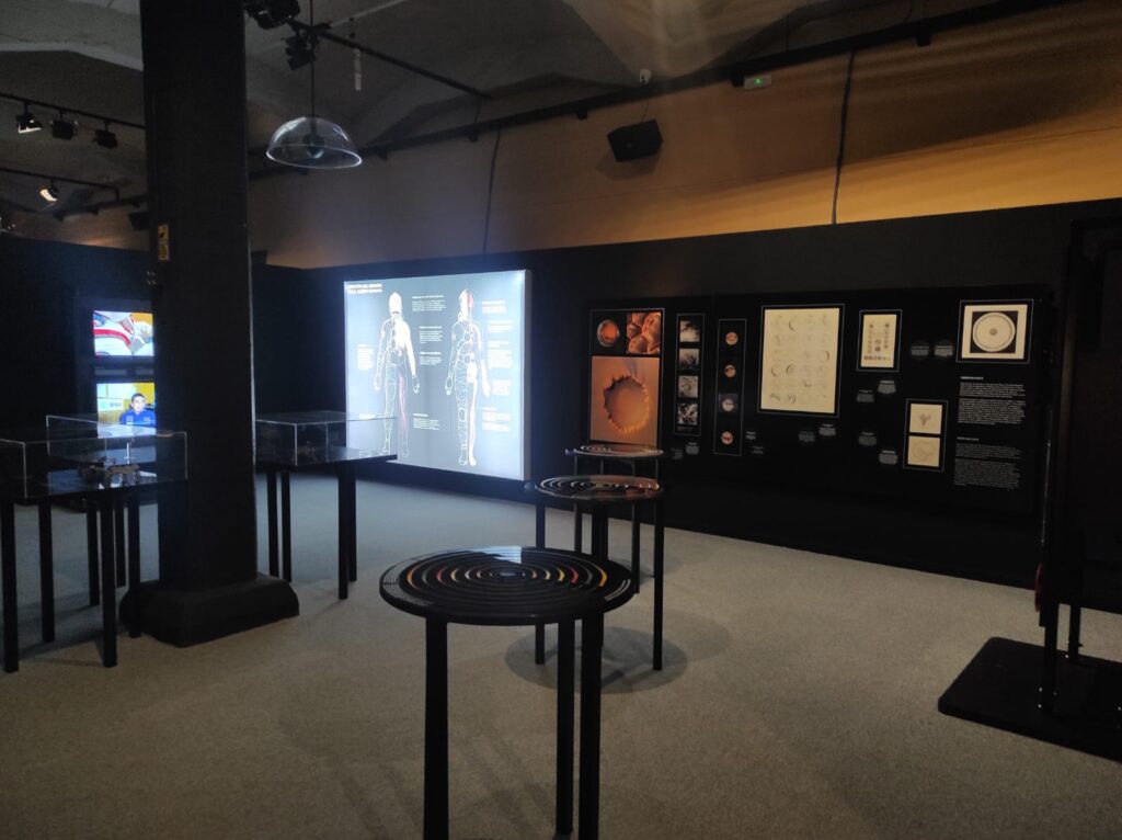 exposicion-marte-murcia-mcya(6)